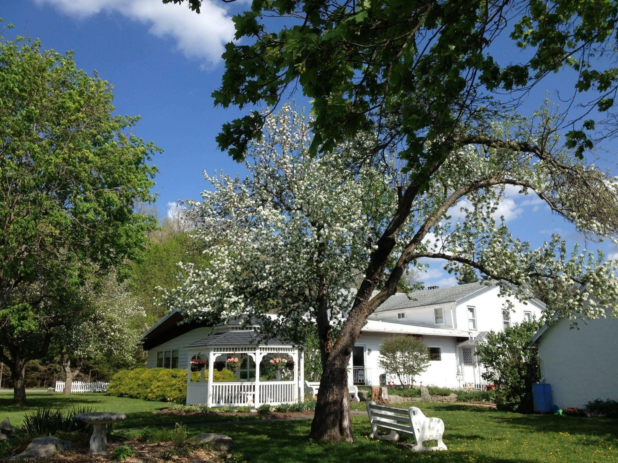 Lukans Farm Resort Hawley Buitenkant foto